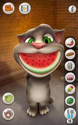 Talking Tom Cat screenshot